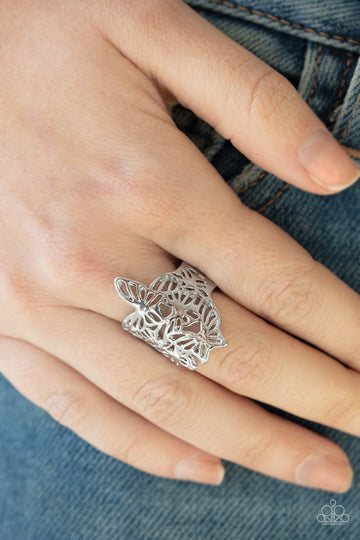 Banded Butterflies - Silver Ring